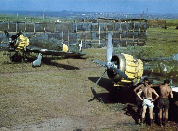 macchi-m-c-200-53-stormo-22-gruppo-autonomo-362a-squadriglia-russia-1941
