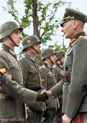 division azul formacion