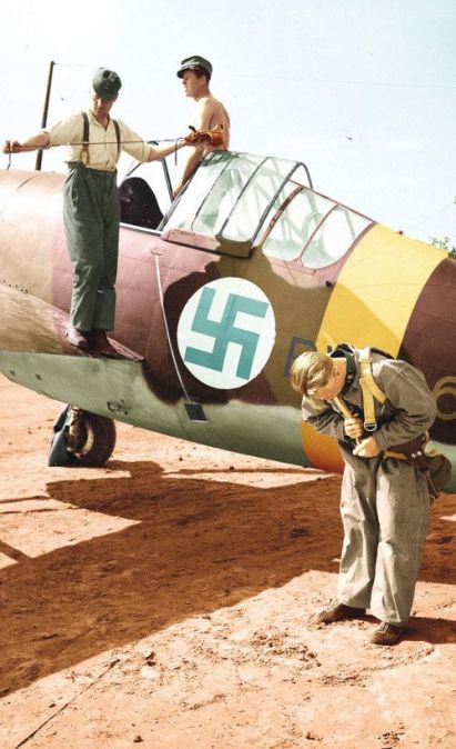 Brewster 239 Ilmavoimat